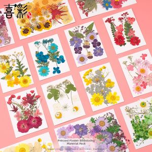 XICAI | Dried Flower Pressed Plant Specimen Craft DIY Bookmark Material Kit