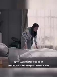 Xiaomi Mite Vacuum Cleaner Wired Handheld Dust Mite 12kPa Big Suction UV Light 99% Sterilization for Bedding Pillow 除蟎儀