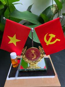 Cờ taplo xe ô tô Bộ cờtaplo xe bản đồ Việt Nam in trên nền trống đồngtặng nước hoatặng thảm lót cao su