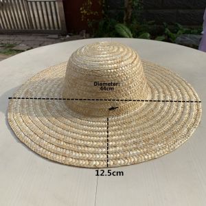 WUUJIA+ | Sunshade Straw Hat