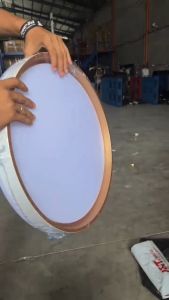 Ceiling Light Living Room Light Simple Modern LED Bedroom Light Room Restaurant Light Zhongshan Lamp