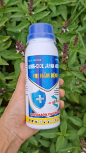 [VTNN TIEN KHOA] Trừ Nấm Bệnh như Thán Thư Sương Mai Vàng Lá Đạo Ôn Lem Lép Hạt - KING-CIDE JAPAN 460SC Chai 240ML Của Sinochem