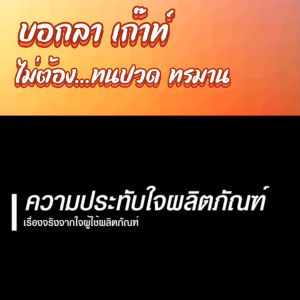 D-KOUT ดีเก๊าท์ 3 กล่อง สำหรับโรคเก๊าท์ ลดกรดยูริค ลดปวดข้อ บำรุงไต รับประกันของแท้ 100% จากสำนักงานใหญ่