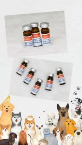 Thailand Detick 1cc / 2cc Anti ticks and Fleas for Puppies Dog Cat