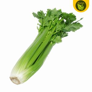 100 seeds for planting binhi celery herbs & spices in cooking