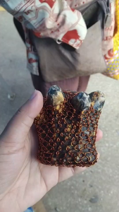 เขากวางคุดหรือเขากวางหด