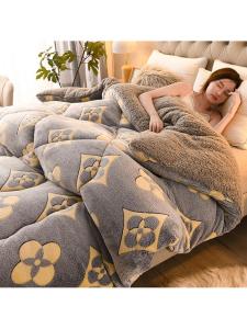 MOLORE | Warm Double-sided Flannel Comforter Single Size