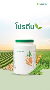 Amway ซอยโปรตีน NUTRILITE Soy Protein Drink (All Plant) นิวทริไลท์ ขนาด ช็อคโกแลต、ชาเขียว、โปรตีนถั่วเหลือง EXP.11/2026