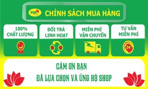 COMBO 2 HỘP PQA Kim Ngân Phong hỗ trợ thanh nhiệt giải độc giúp giảm mẩn ngứa mụn nhọt ngoài da do nóng nhiệt.