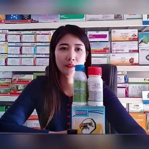 ( Fast removal ) Green Field Xianfeng Sulfosulfuron Atrazine Corn Field Post-Emergence Special Herbicide for Corn Field Root Rot