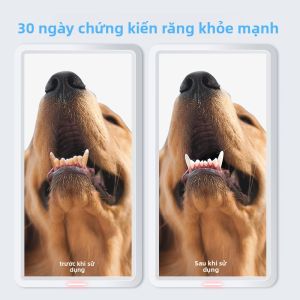 MONLEYTA | Pet Dental Cleaning Finger Covers Cat Teeth Brushing Oral Care Stone Removal Bad Breath Eliminator Wet Wipes Toothbrush Supplies