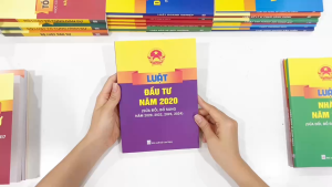 Sách - Luật Đầu Tư Năm 2020 (Sửa đổi bổ sung năm 2020 2022 2023 2024) - ND