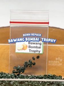 Benih Bawang Bombai Trophy Agrosid: Solusi Ternyaman untuk Hidroponik & Sayuran