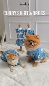 Cubby Shirt & Dress - Kemeja Kucing dan Kemeja Anjing POMAPOO Premium Berkualitas