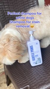 Gentle Paws BUY 1 TAKE 1 Organic Pet Shampoo Dog Shampoo Cat shampoo For Anti-Tick & Flea Long-Lasting Pet Shampoo Plant-Based