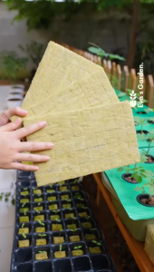 MEDIA TANAM ROCKWOOL CULTILENE HIDROPONIK PEMBIBITAN DAN SEMAI BENIH TANAMAN - ROCKWOOL 1 POTONG