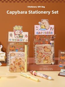 Capibara Graduation Birthday Gift for Middle And Primary School Students Upgrade Companion Handmade Creative Gift Box