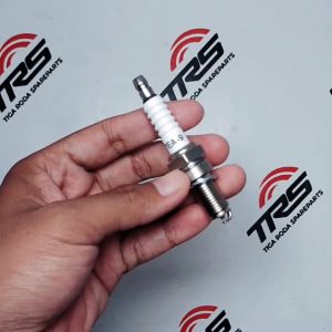 TRS Busi Oem Motor Roda Tiga 150 200 300 cc Tossa Nozomi Kaisar Motor Roda Tiga Pnp GL Pro CB Tiger Mega Pro CB Scorpio Thunder 250cc Original TRS