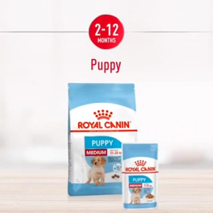 Hạt Cho Chó Con Giống Vừa Royal Canin Medium Puppy