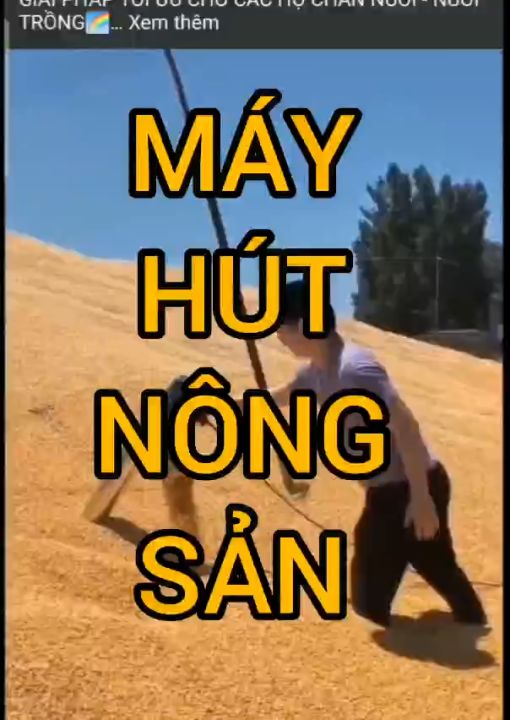 Máy hút hạt lúa vào bao
