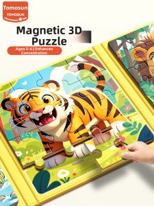 TONGMUXING | Educational Magnetic 3D Puzzle Toys
