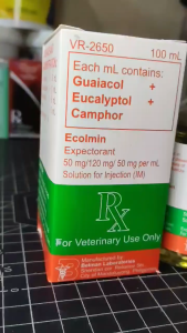 ECOLMIN 100ML (EXPECTORANT)