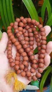 สร้อยประคำหลวงพ่ออุตตมะ วัดวังก์วิเวการาม จ.กาญจนบุรี (เส้นที่ 1)