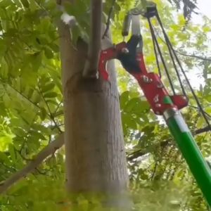 Kéo Cắt Cành Trên Cao Cán Dài Dây Giật Tích Hợp Lưỡi Cưa Siêu Bén Cắt Cành Trên Cao Không Cần Thang
