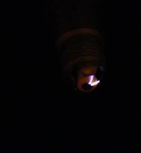 Busi Brisk Motor Kawasaki Yamaha KR 150 2 Stroke DT 125 2 Stroke KTM SX 250 Brisk Spark Premium LGS LOR12LGS Original Brisk