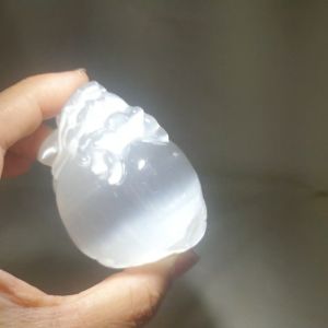 透石膏龙龟/Selenite Dragon Turtle /Gypsum Energy Purification Stone ‧ Divine Beast Ornament ‧ Dragon Turtle Carving