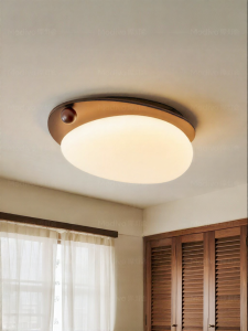 FANCY LAMP CLUB | Stylish Modern Aged Egg-shaped Full Spectrum Eye-protection Ceiling Light