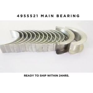 4955521 / 5406200 MAIN BEARING [LOCAL STOCK / LOCAL SUPPLIER] 3978818 3978820 3978822 3978824 [14PCS/SET] FOR CUMMINS & HYUNDAI