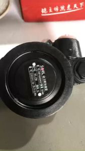 Bơm trợ lực BV0716 - 090/100E 2 lỗ M18 SORL (340716442001P)