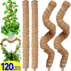 เสาสำหรับปลูกต้น- ร่มขนาด 70/100/120 ซม. ของมูลคุณ เส้นใยมะพร้าว เสาตั้งเต๊นท์ ซึ่งทำสวน