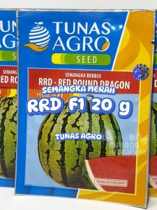 Benih Semangka Merah RRD Red Round Dragon F1 20 Gram Tunas Agro bibit biji unggul buah bulat bali flower hydroponik hidroponik