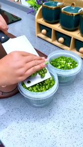 Toples Tirisan Bawang Sayur & Kotak Transparan Saringan