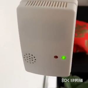 Natural Gas Sensitive Detector Alarm Gas Detector Sensor Detector Home Security Tool