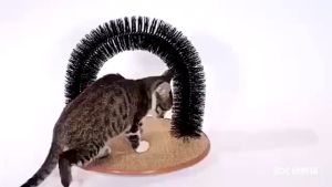 AP AIMAYAPET Cat Arch Self Groomer Massager Device Multifunctional Pet Kitten Scratcher Toys Fur Grooming Cat Brush Shedding With Scratch Pad