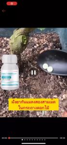 เม็ดกำจัดแมลง กำจัดศัตรูพืช ป้องกันแมลงต่างๆ ปกป้องต้นไม้ ปกป้องไม้ดอก ไม้ประดับ ไม่เป็นอันตรายต่อคน ต้นไม้ และส้ตว์เลี้