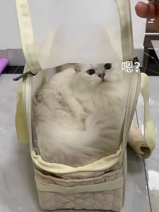 กระเป๋าใส่สัตว์เลี้ยงแมว หมาพันธุ์เล็ก รุ่นเบาระบายอากาศดี พกพาสะดวกใช้ได้ทั้งสะพายข้างและหิ้ว Pet Carrier Bag