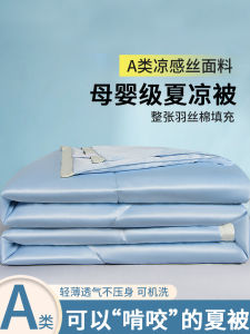 Class a Summer Coolness Silk Air Conditioner Single Person Washable Thin Double Person Quilt Four Seasons Universal Spring