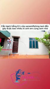 Cần Câu Tay Bạch Hồng (Yêu Kiều Tôn) 6H - cao cấp tải cá khỏe_ Cần Câu Đài CT26 - Sanami Fishing