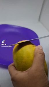 Pisau Stainles fruite knife yang berkualitas