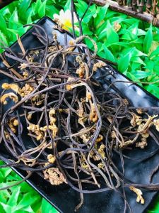 Northeast China Wild Dried Fern Vegetable Mountain Wild Vegetable Asparagus Local Special Dry Vegetable Dehydrated Vegetable Agricultural Product