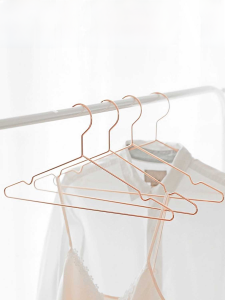 State Life Scandinavian For Home Rose Gold Drying Rack Iron Dormitory Clothes Rack Simple and Seamless Golden Clothes Hanger