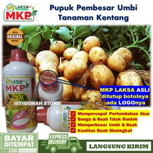 Pupuk Pembesar Umbi Kentang MKP LAKSA GROW 500ml - Pupuk Semprot Perangsang Kentang Besar dan Lebat - Pupuk Buah Kentang Besar yang Bagus dan Manjur Pupuk MKP Cair Plus Murah Laris