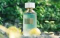 Parfum Arab Emir Cedrat Essense by Paris Corner 100 ml EDP. 