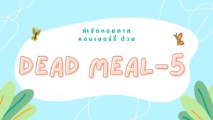 `เดทมีล-5 ยาฆ่าหอย ยาเบื่อหอย หอยทาก หอยเจย์ดี ในสวนผัก หอยเชอร์รี่ในนาข้าว ขนาด 250 กรัม /1กก.`