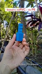 ข้อต่อ แปลงท่อ PVC เป็น PE เกรดA(แพ็ค 10 ตัว) วาล์ว/ต่อตรง/ข้องอ/สามทาง (สินค้าไทย/ออกใบกำกับภาษี)