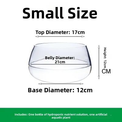 Large Size Transparent Glass Vase Creative Hydroponic Plant Flower Pots for Green Ivy Desktop Decoration Simple Style Flower Bottles